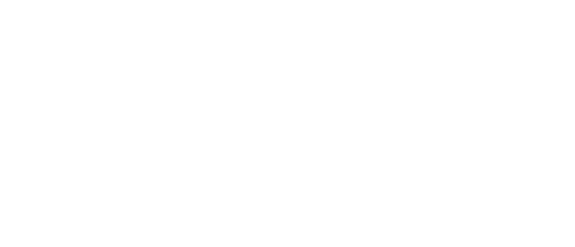 Fundación Gantz